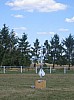 unknown_author-atari_days_nancy_2010_106